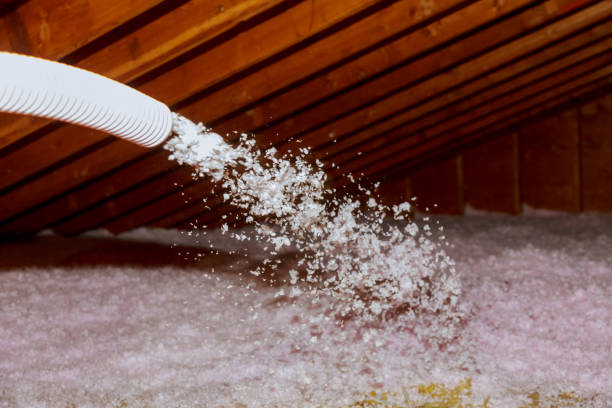 Best Residential Insulation in Meadow Glade, WA