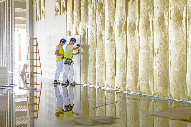 Best Insulation for Specific Applications in Meadow Glade, WA